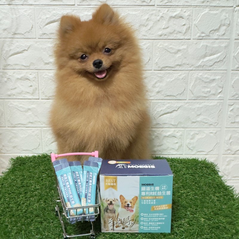 女人知己試用大隊,口碑行銷,部落客行銷,Moegis萌吉 腸道生機專利RBE益生菌,寵物益生菌,專利RBE益生元,專利蔬果酵素,小分子胜肽,藍藻粉,維持免疫力,幫助維持消化道機能,維持正常食慾,改變細菌叢生態,腸胃保健,犬貓適用